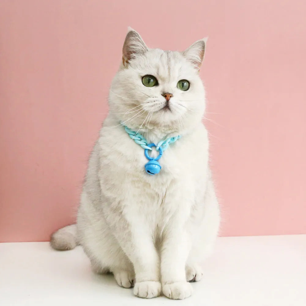 A plastic pet collar in macaron candy colours shown in blue, pink, and mixed variants, with a chain design and S/M size tags.