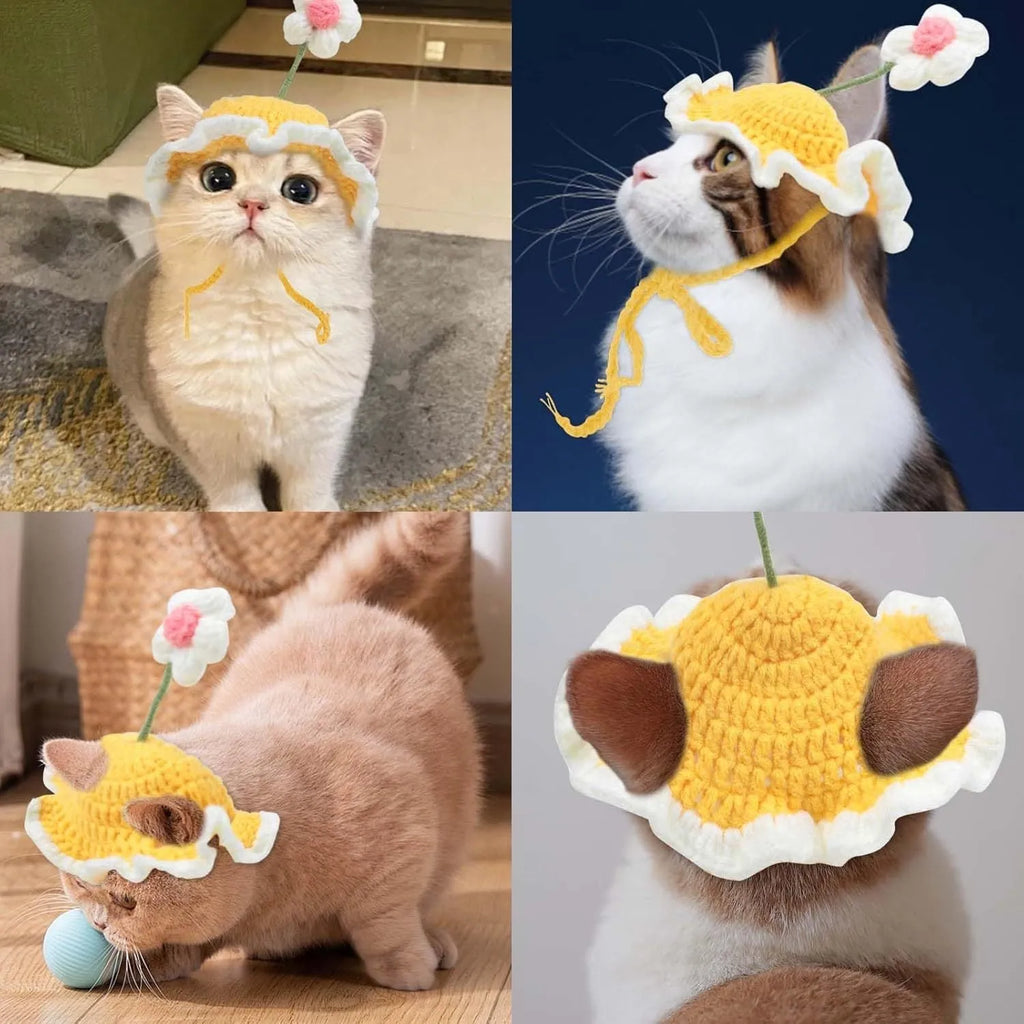 Green knitted cat hat with cartoon face, shown on a small dog as a Halloween costume accessory.