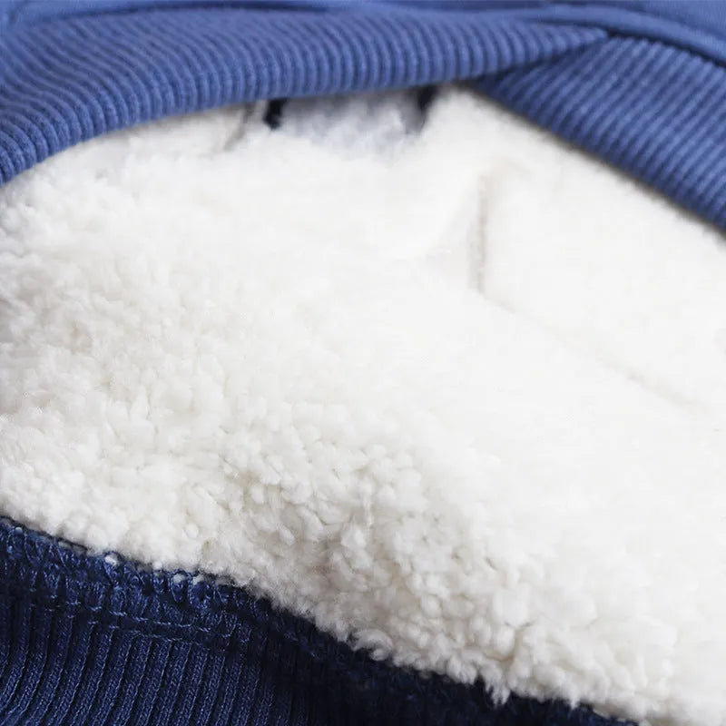 Dark blue fleece-lined winter dog coat shown on a small dog, highlighting the cotton material and thick style.