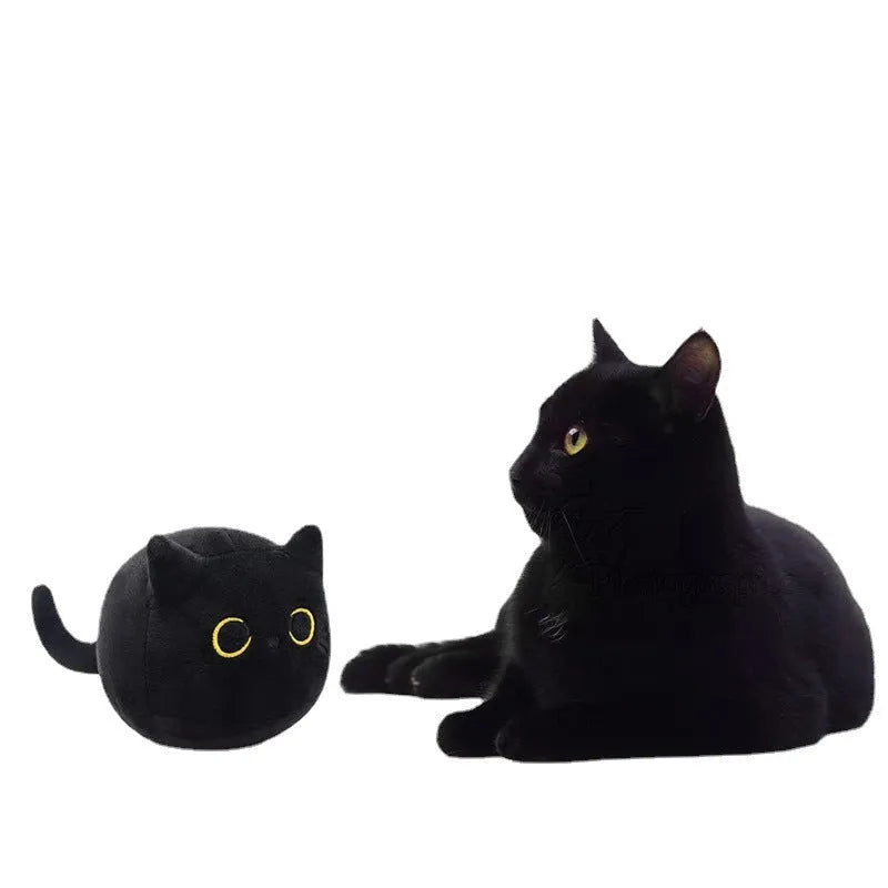 Fluffy black cat plush toy stuffed animal pillow cushion on a neutral background