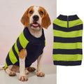 Grey acrylic dog sweater with a horizontal front zipper and button pocket on a small dog.