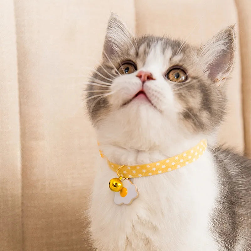 Adjustable cat collar with bell and bow tie decoration on small dog
