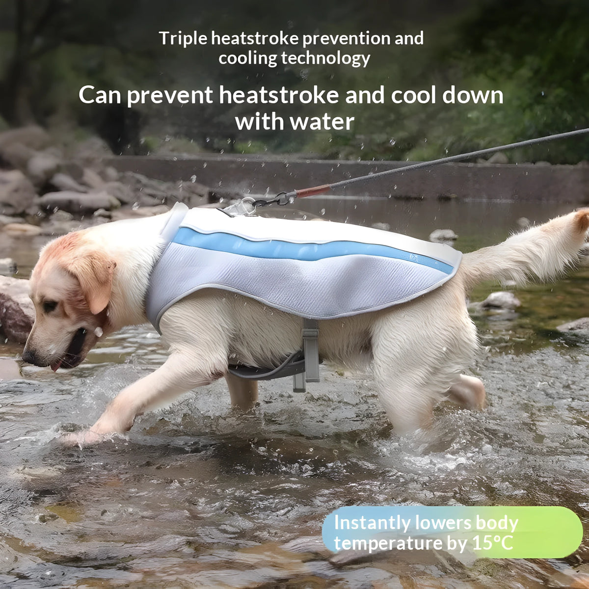Mesh cooling vest for medium and large dogs in orange, blue or green, sizes 3XL to 6XL, unisex pet clothing