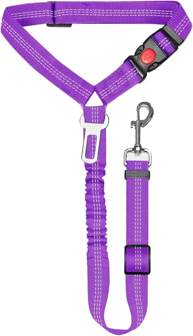 Nylon dog leash with metal buckle shown in multiple colour options.