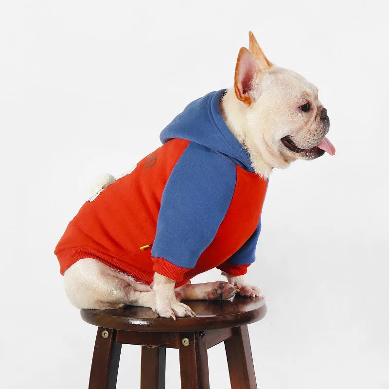 Red cotton dog coat for small and medium sized breeds like Teddy and Bichon on a mannequin