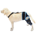 Neoprene dog hind leg knee brace in sizes XS to L available in five colours