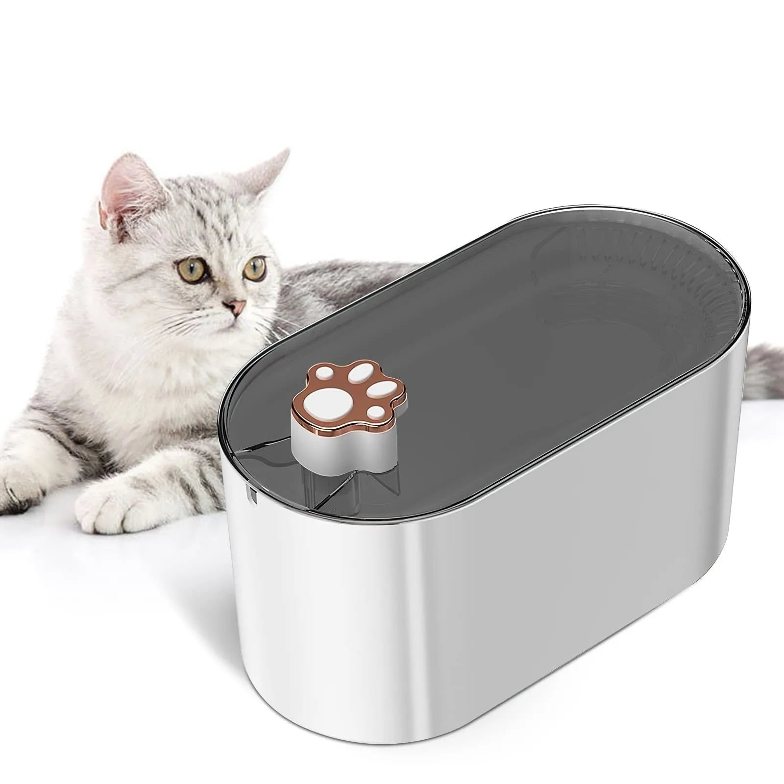 Berlin blue 3L pet water fountain with LED lights and filtration system on wooden floor