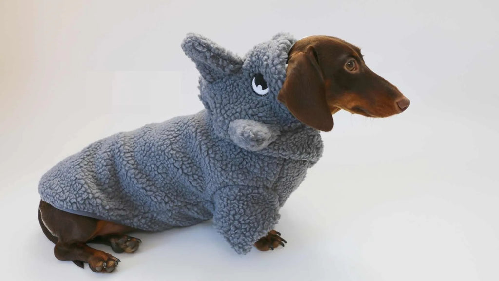 Grey shark fleece-lined hooded pet sweater for small dogs and cats, sizes XS to XL