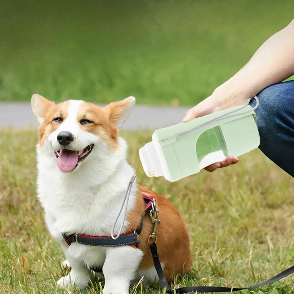 Grey 2-in-1 travel dog water bottle with 690ml capacity, lanyard, and dry-wet separation design for outdoor use