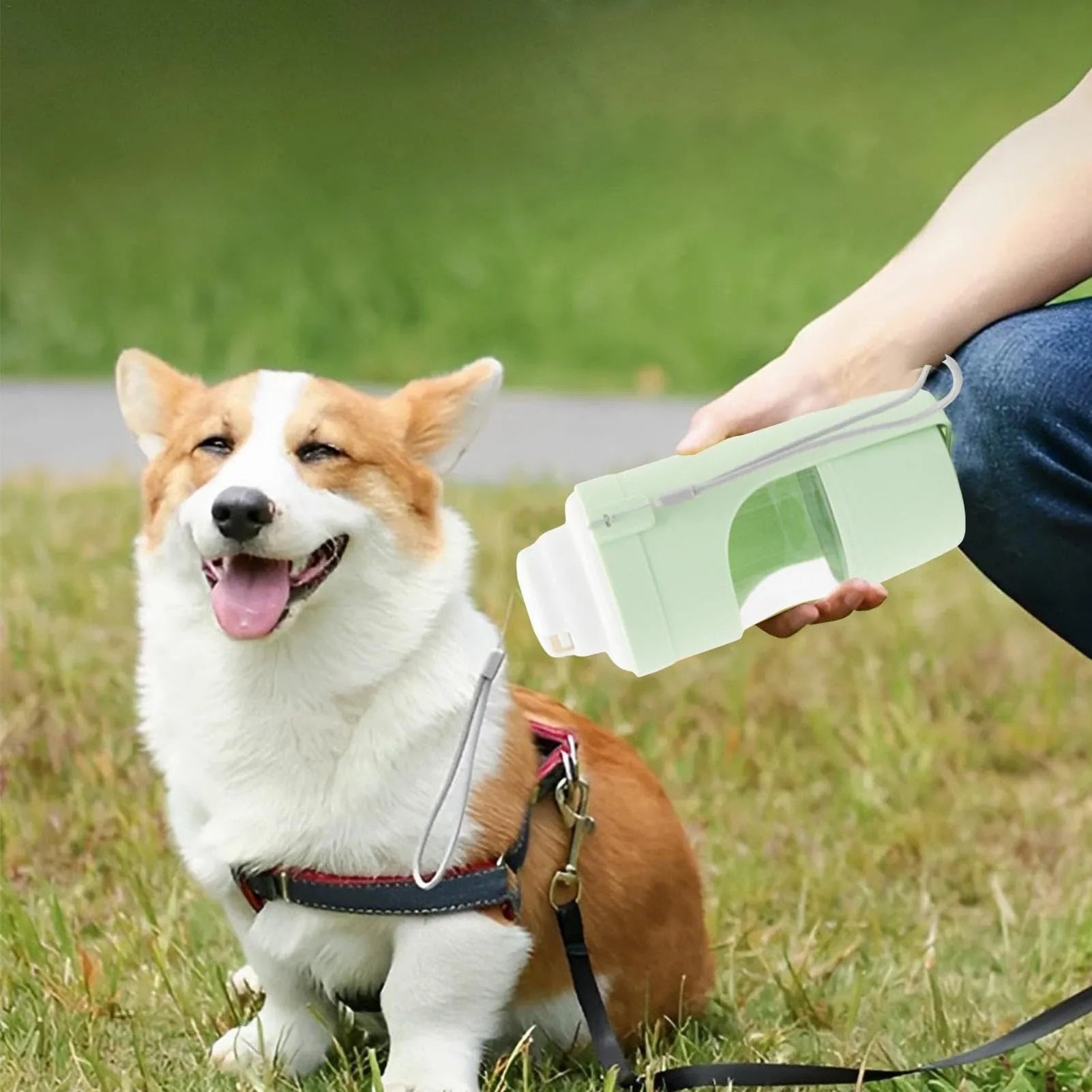 Grey 2-in-1 travel dog water bottle with 690ml capacity, lanyard, and dry-wet separation design for outdoor use