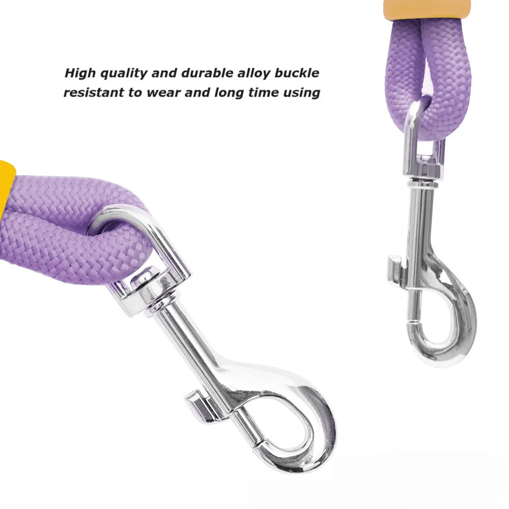Nylon dog leash with anti-slip foam handle in choice of four colours.