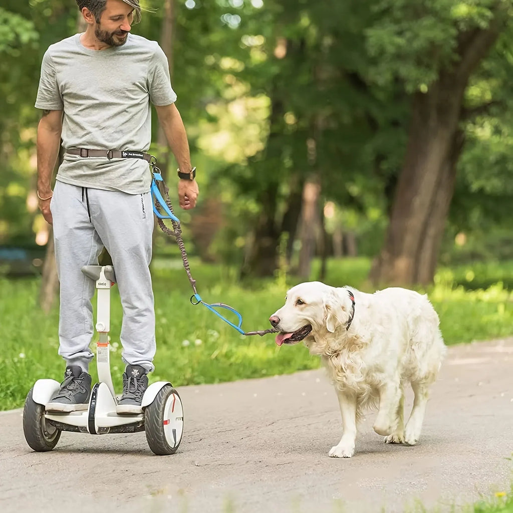Hands-free dog leash with adjustable waist belt worn by person running with dog