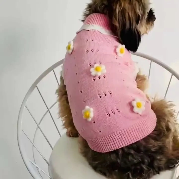 Green flower blossom knitted sweater for a small dog on a white background.