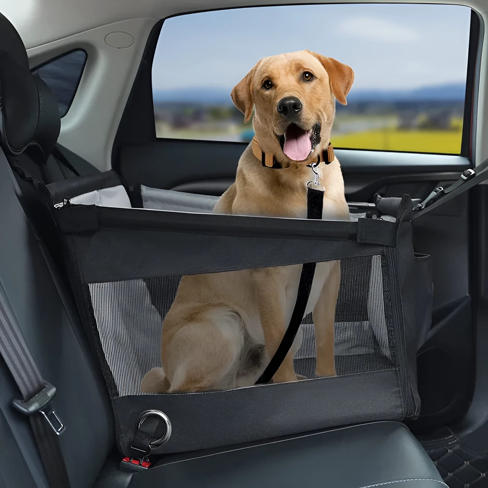 Oxford cloth dog crate pet carrier in black colour with 49x49x38 cm dimensions