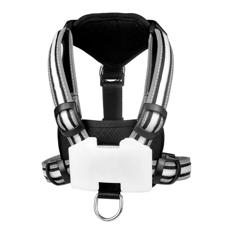 Luminous dog lead with USB charging cable showing seven-colour transformation on nylon strap