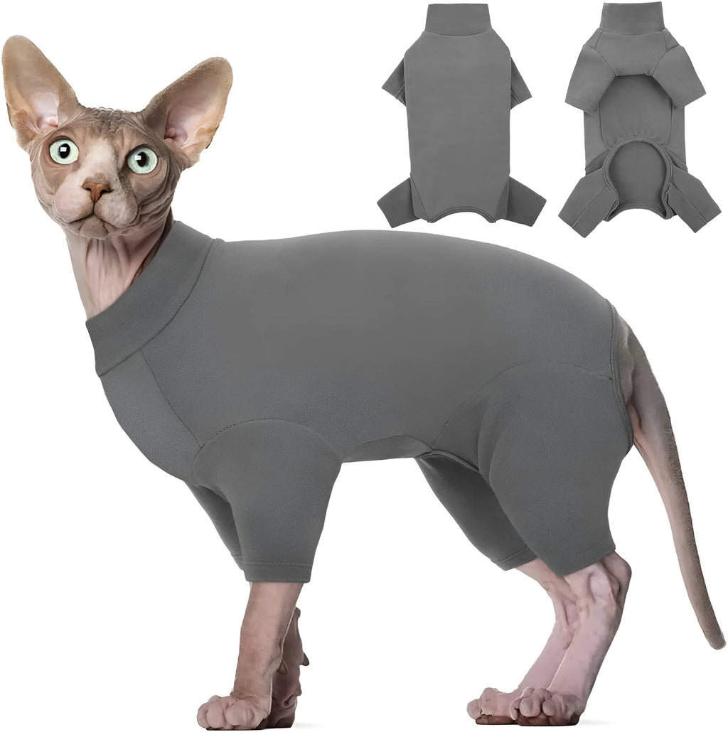 Grey sphynx cat wearing soft turtleneck winter sweater with two leg openings and semi-turtleneck design