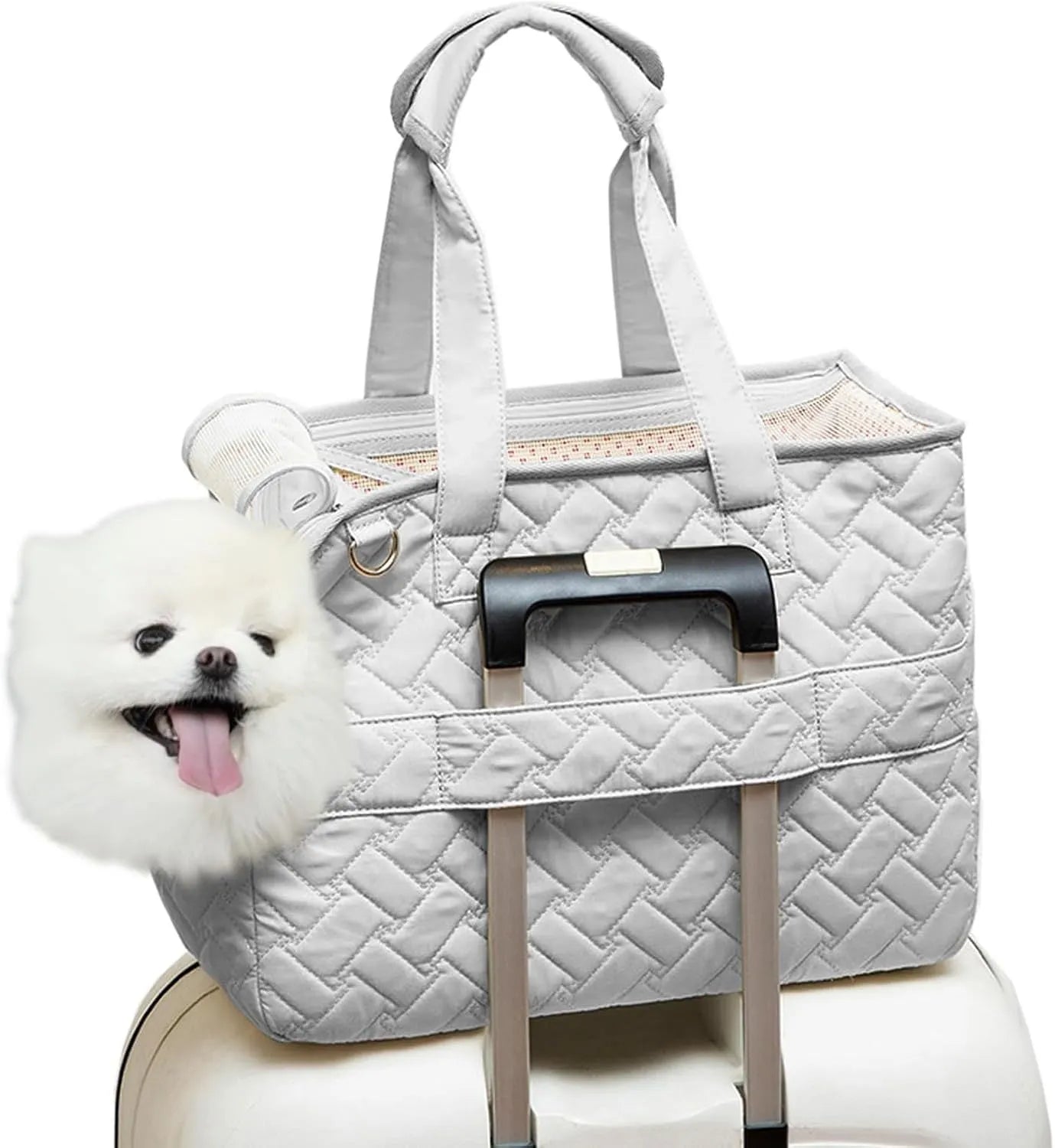 Grey pet carrier handbag with mesh windows and a safety strap, shown in a casual setting.