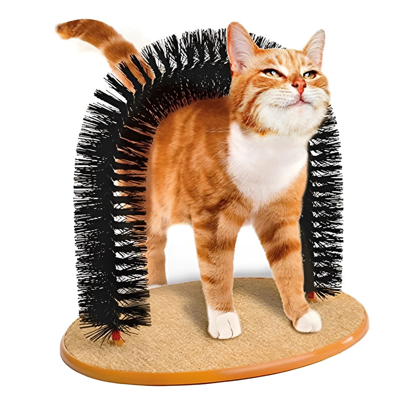 White plastic arched cat grooming toy with integrated brush bristles for scratching and rubbing.