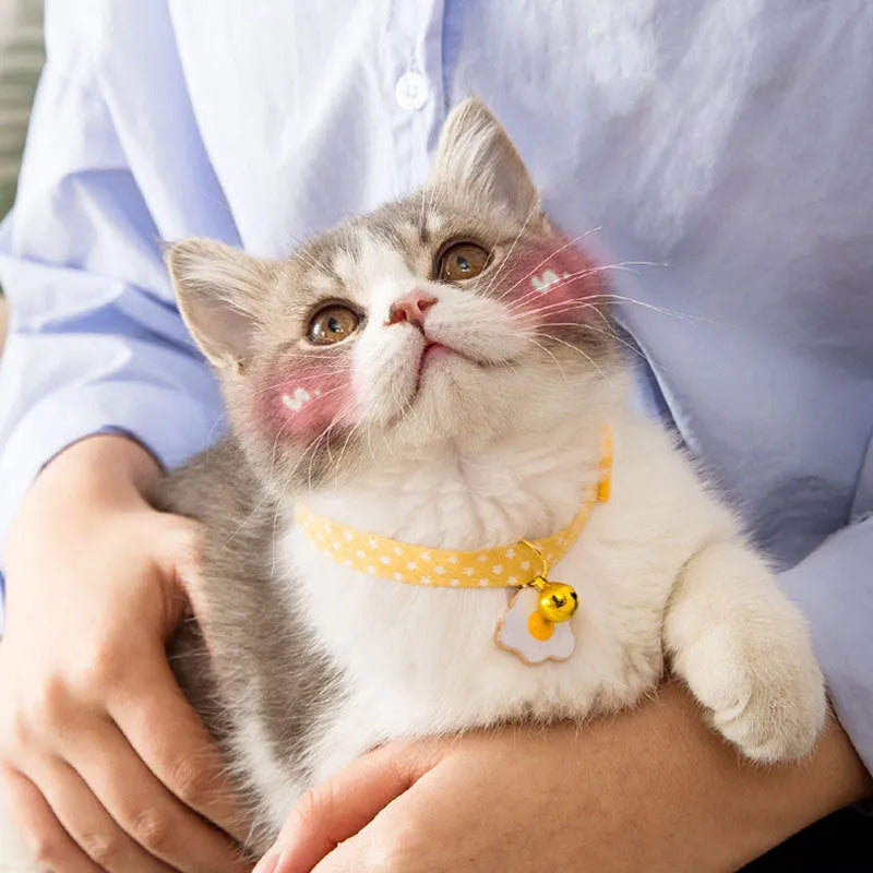Adjustable cat collar with bell and bow tie decoration on small dog