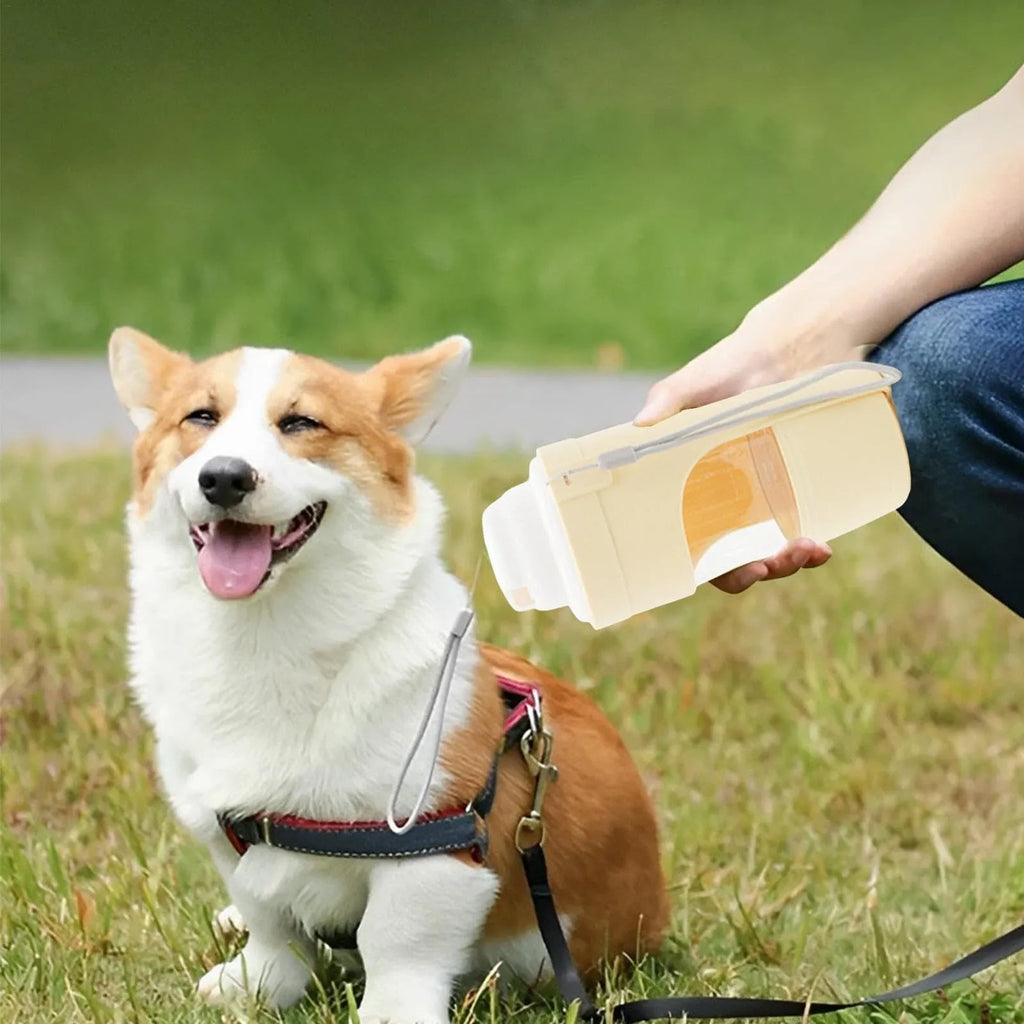 Grey 2-in-1 travel dog water bottle with 690ml capacity, lanyard, and dry-wet separation design for outdoor use