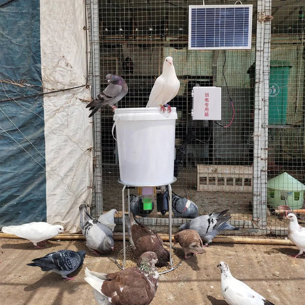 Solar-powered automatic animal feeding machine with watertight caisson for chickens, ducks, and aquariums.