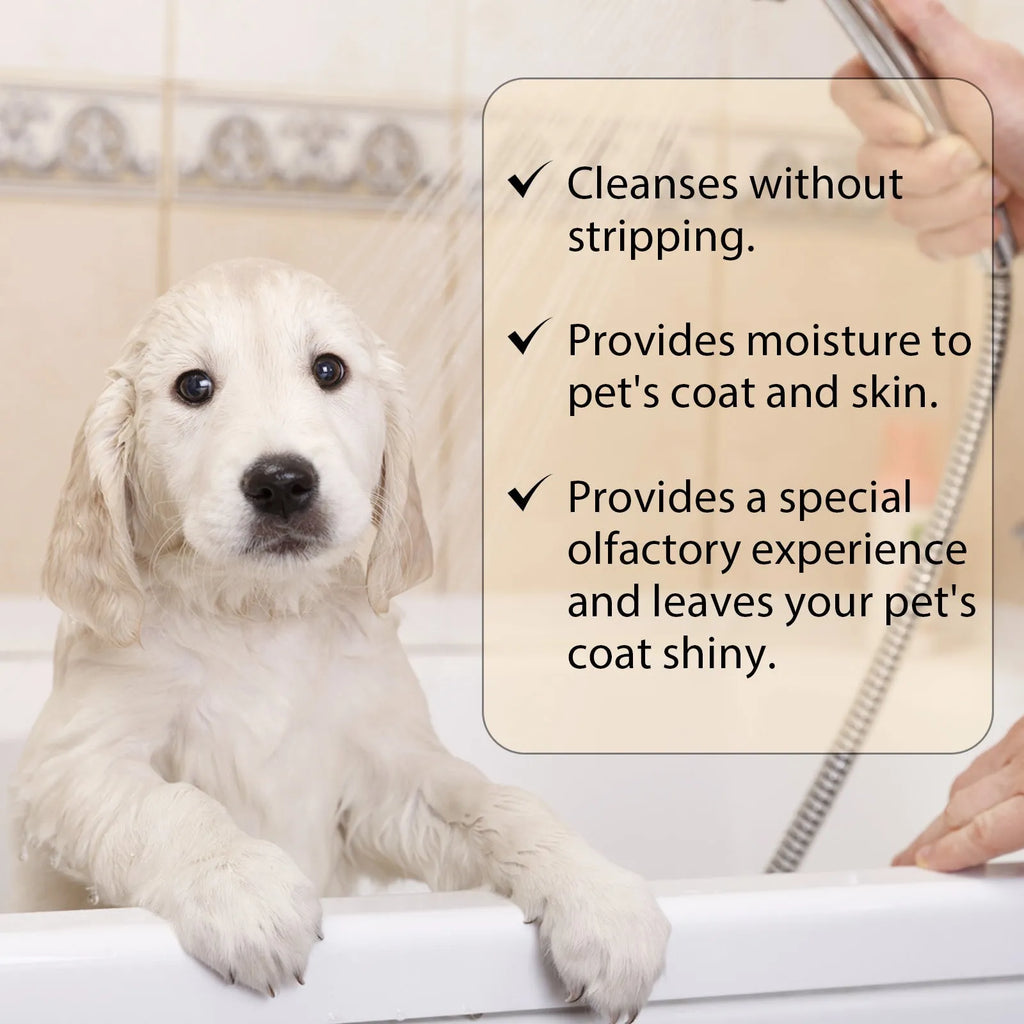 Mild dog shampoo bottle for softening hair and detangling, available in 100ml and 300ml sizes