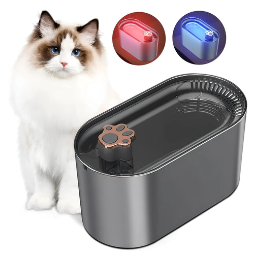 Berlin blue 3L pet water fountain with LED lights and filtration system on wooden floor