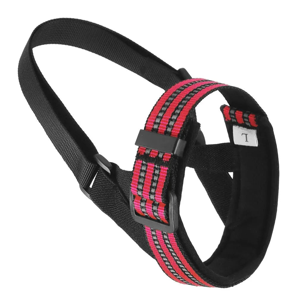 Adjustable reflective dog muzzle shown on a medium-sized dog, in blue colour.