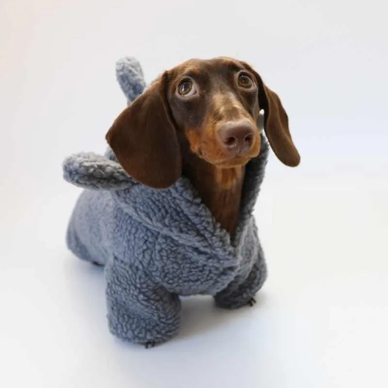 Grey shark fleece-lined hooded pet sweater for small dogs and cats, sizes XS to XL