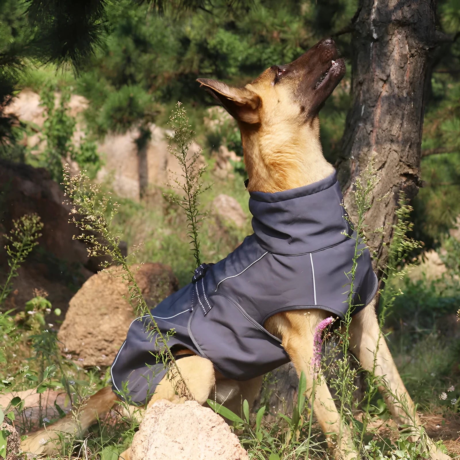 Waterproof double-layer insulated pet dog coat polyester outerwear gray red available sizes XS to XL