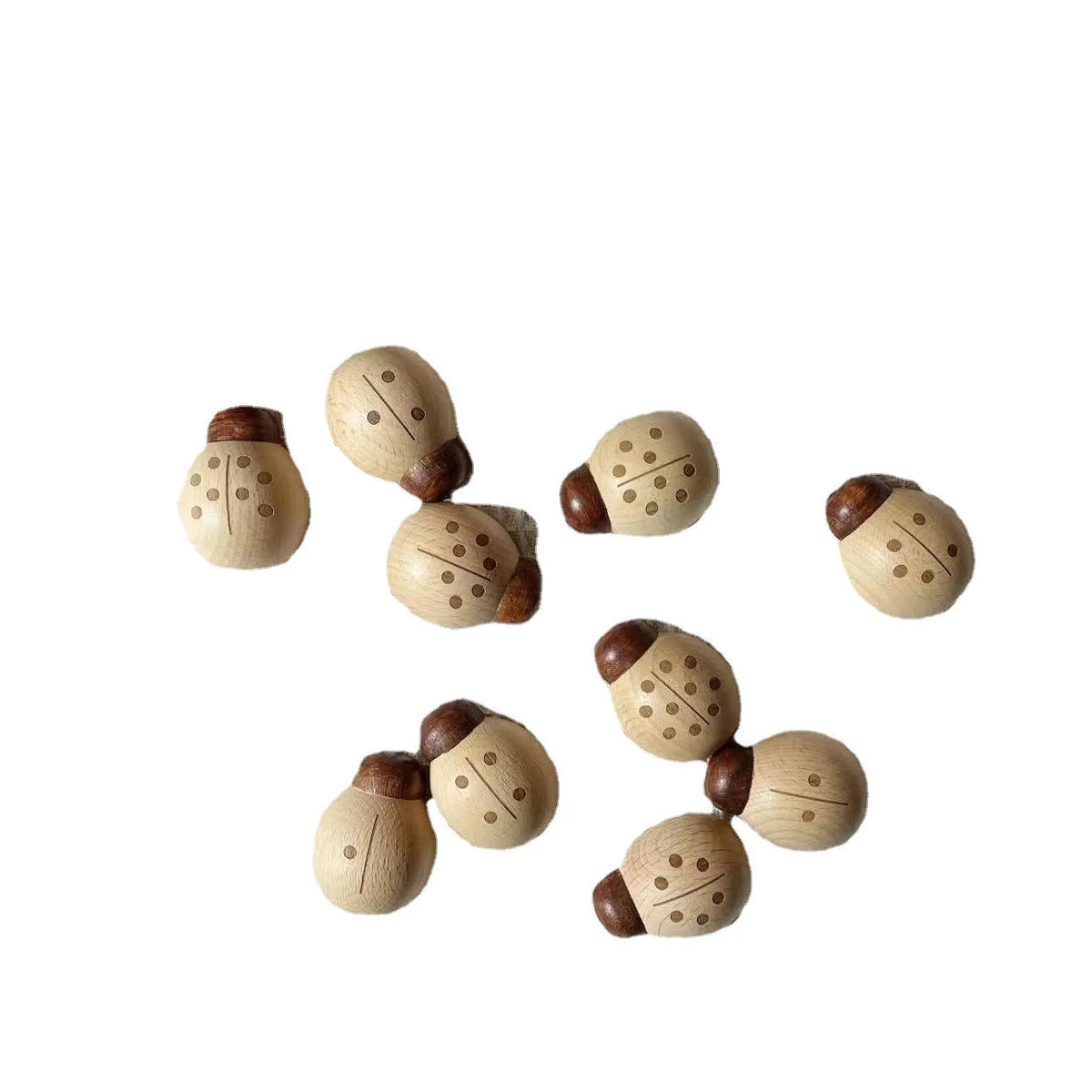Beech ladybird educational toy with digital teaching aid on a table, packed in a net pocket