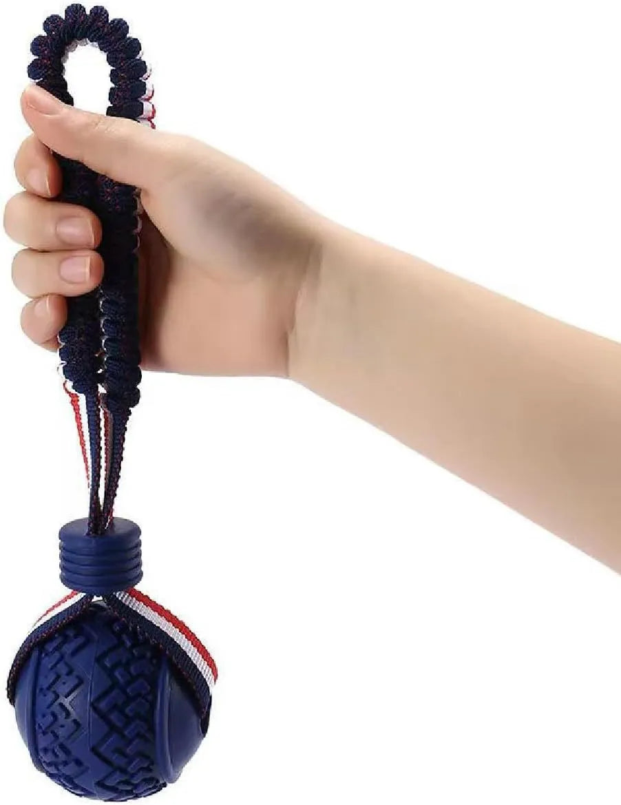 Blue dog toy showing a textured rubber ball attached to a woven rope, for small and medium breed dogs.
