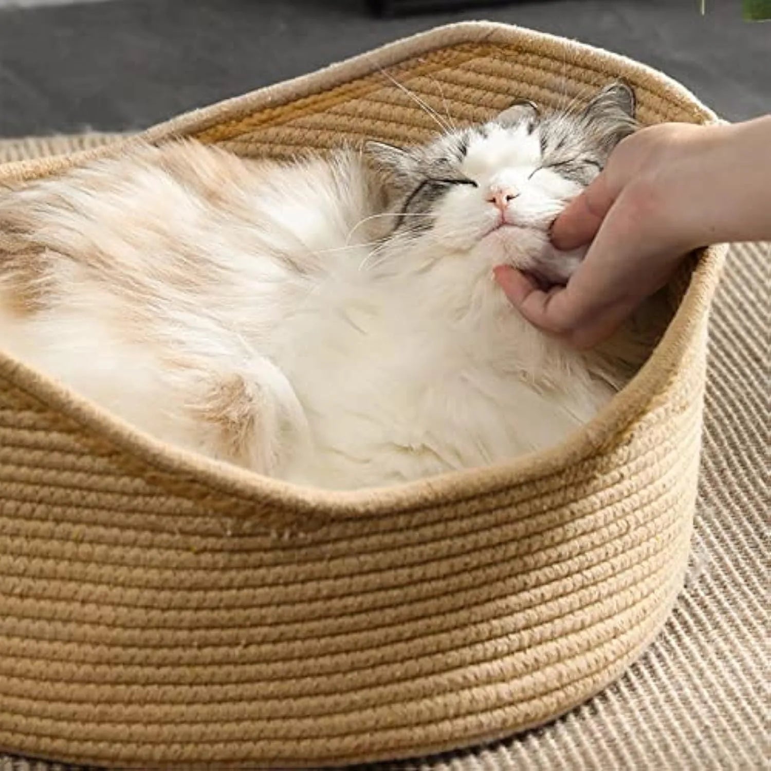 Wicker cat bed basket with corrugated scratching board for feline resting and claw maintenance