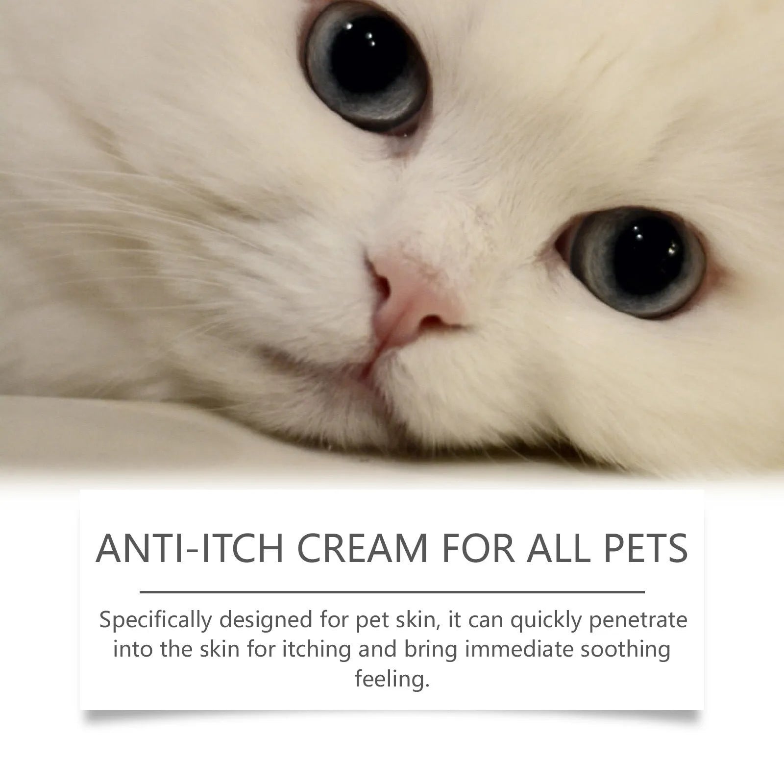 60g tube of pet itch relieving cream for cats with natural extracts
