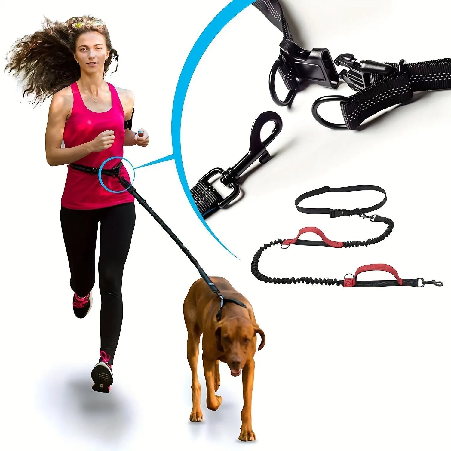 Hands-free dog leash with adjustable waist belt worn by person running with dog