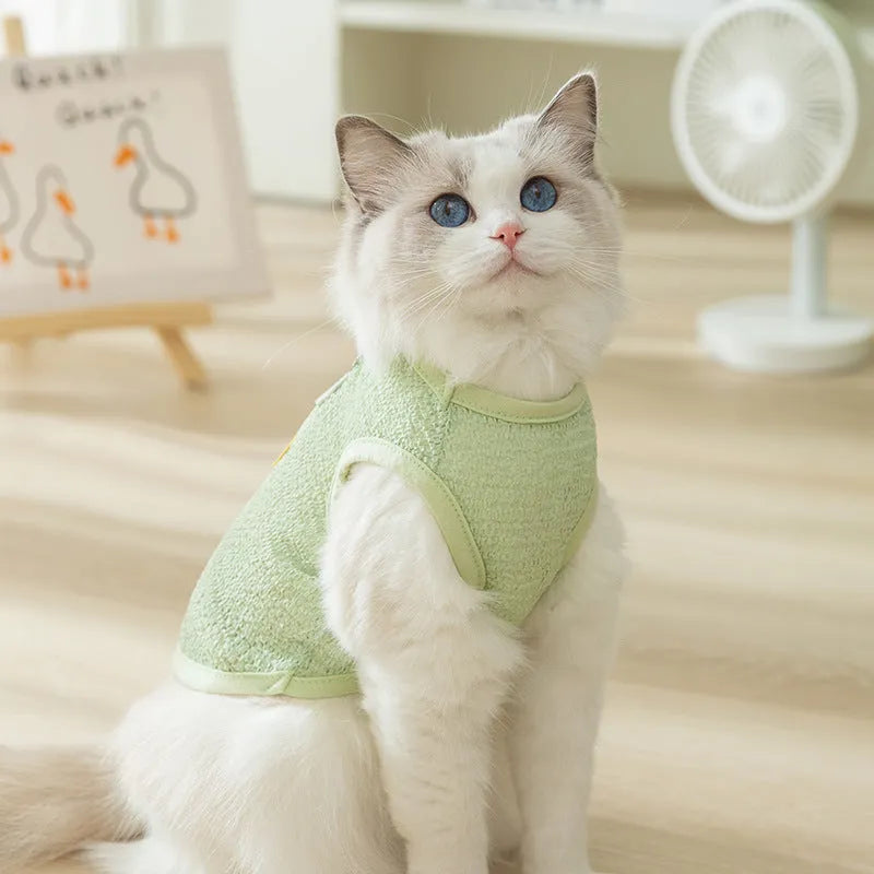 Cat wearing green knitted clothes with hollowed-out bear patch design