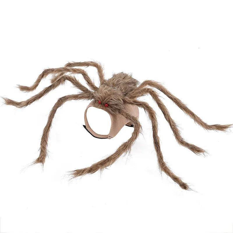 Grey and black spider costume on a dog for Halloween
