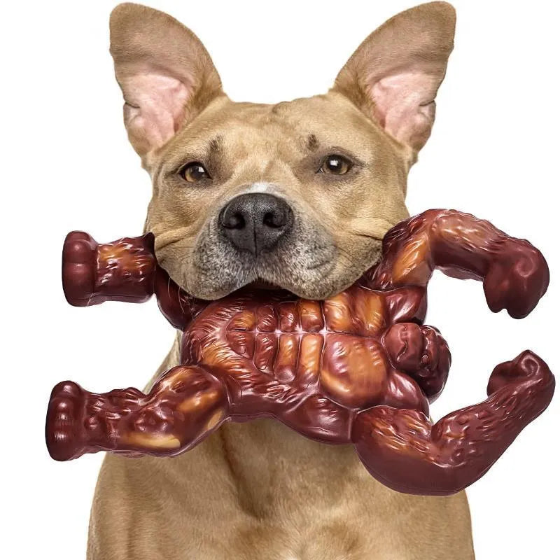 Scarlet red beef-flavoured nylon dog chew toy for molar cleaning and dental exercise