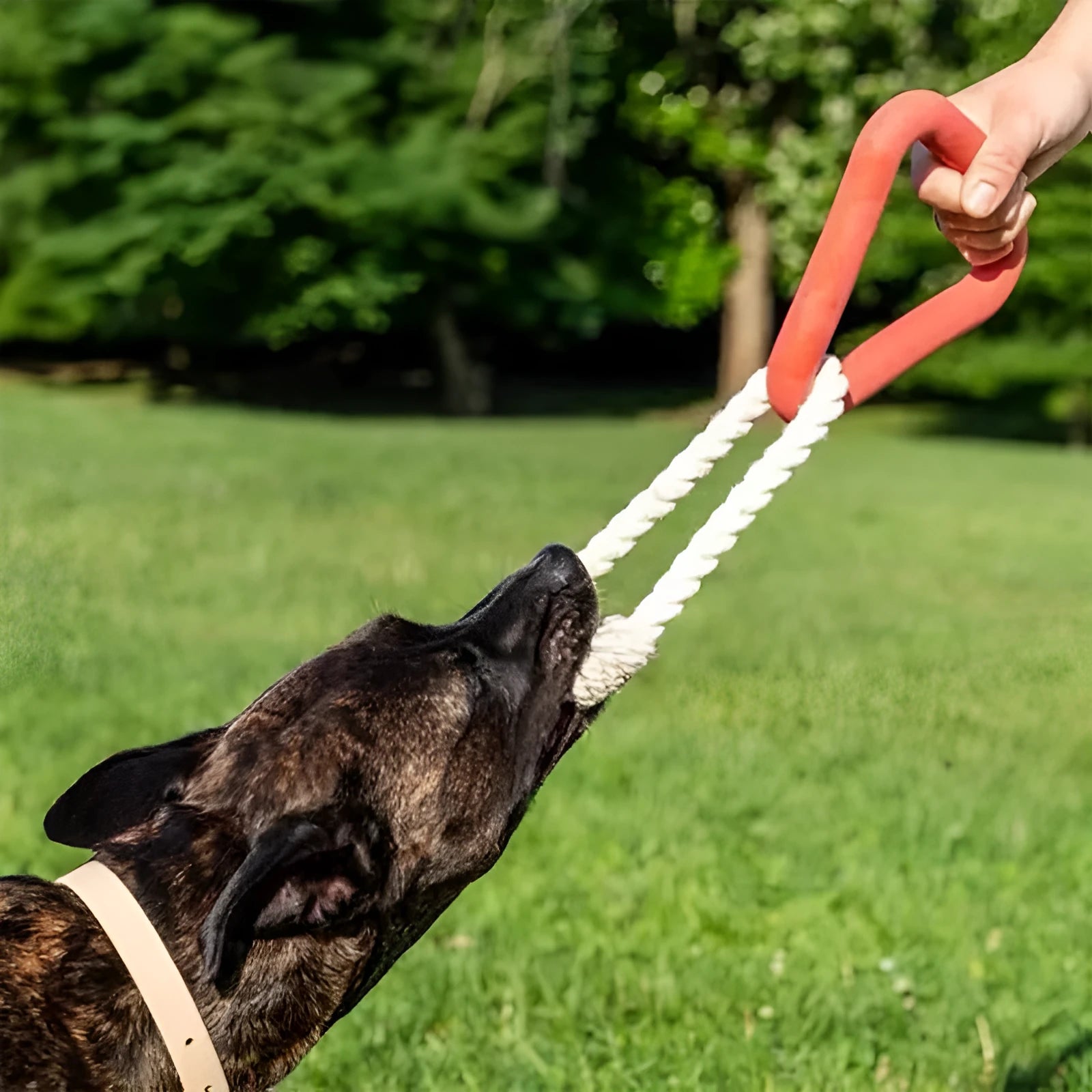 Large triangular dog tug toy made from braided cotton rope in a choice of colours.