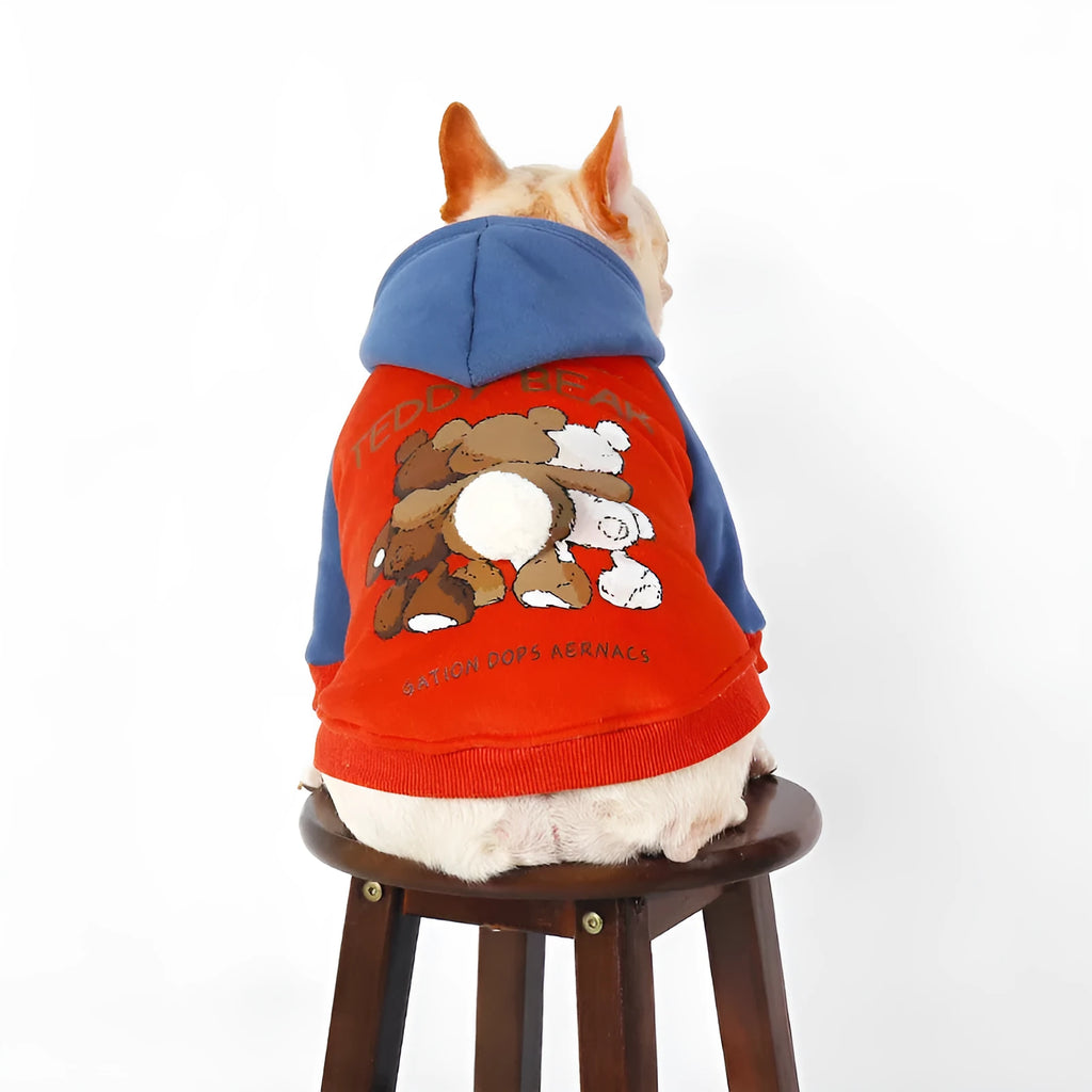Red cotton dog coat for small and medium sized breeds like Teddy and Bichon on a mannequin