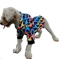 Colorful letter print polyester pet hoodie in picture colour, available in sizes XXS to FB for dogs and puppies.