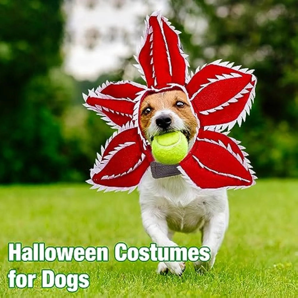 Chomper dog Halloween costume with scary demon teeth and purple flower headband on a medium-sized dog