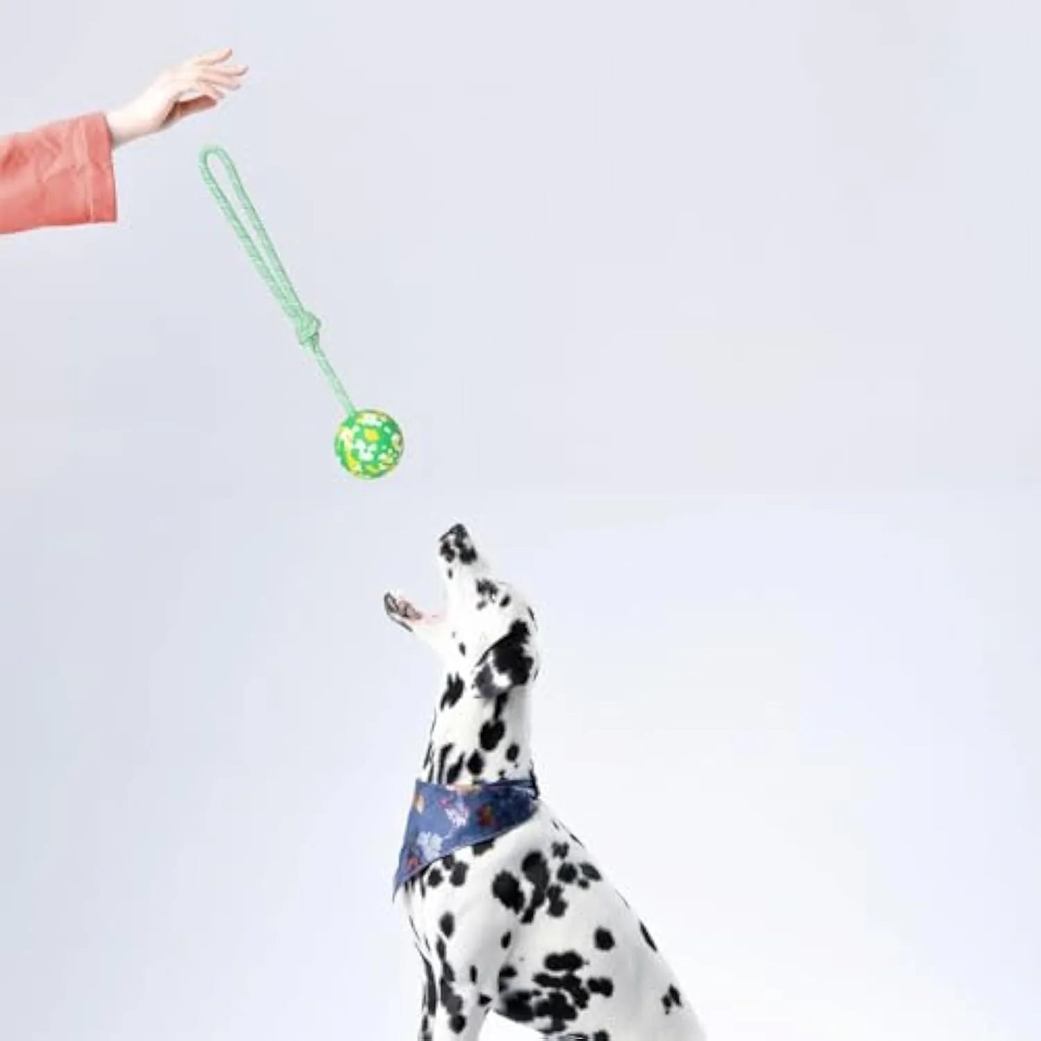 Natural rubber dog ball on nylon rope toy for medium and small dogs with 2.4 inch ball diameter