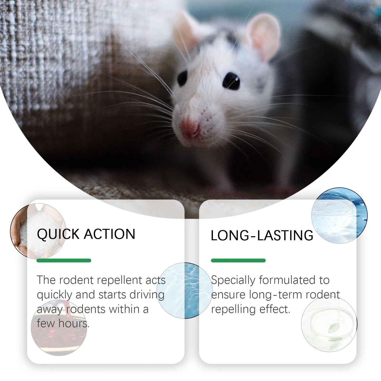Mint-flavoured rodent repellent spray in 150ml bottle with peppermint and chilli oils