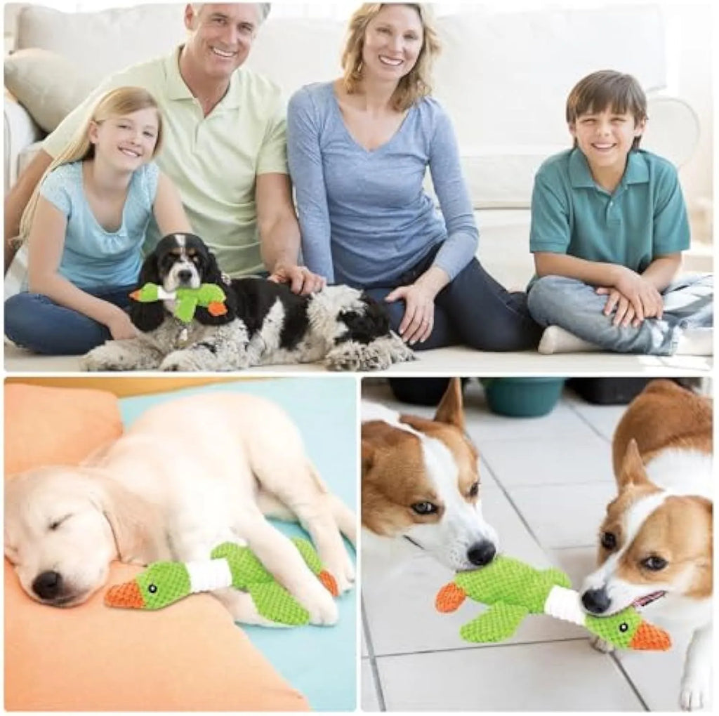 Blue duck plush dog toy with squeakers for large breed dogs on white background
