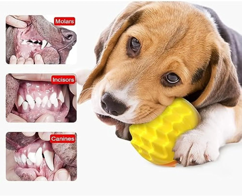 Blue or orange rubber dog ball with spiky surface for dental cleaning and squeaker inside