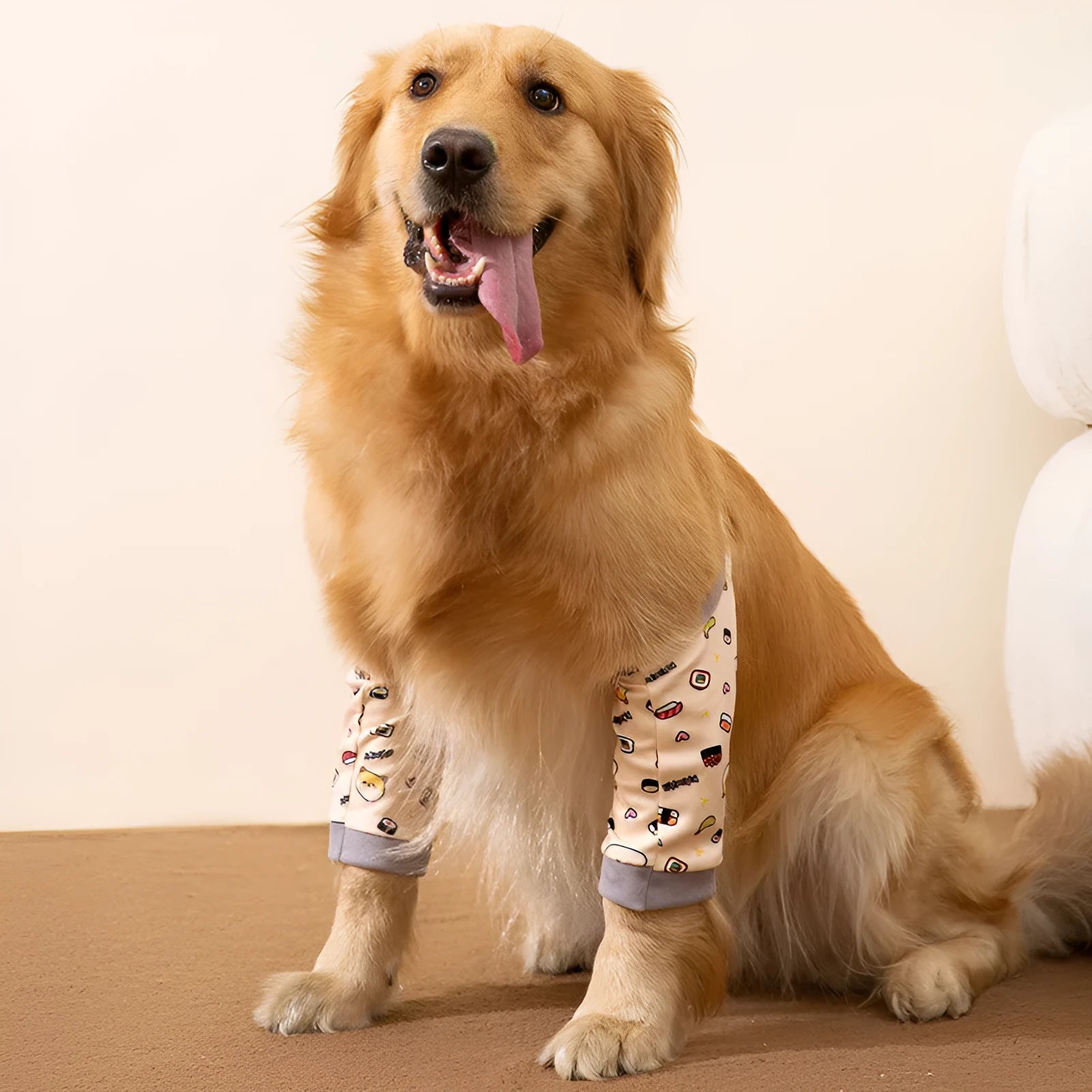 Blue dog knee protector sleeve with padded elbow patch and matching scarf, shown on a medium-sized dog