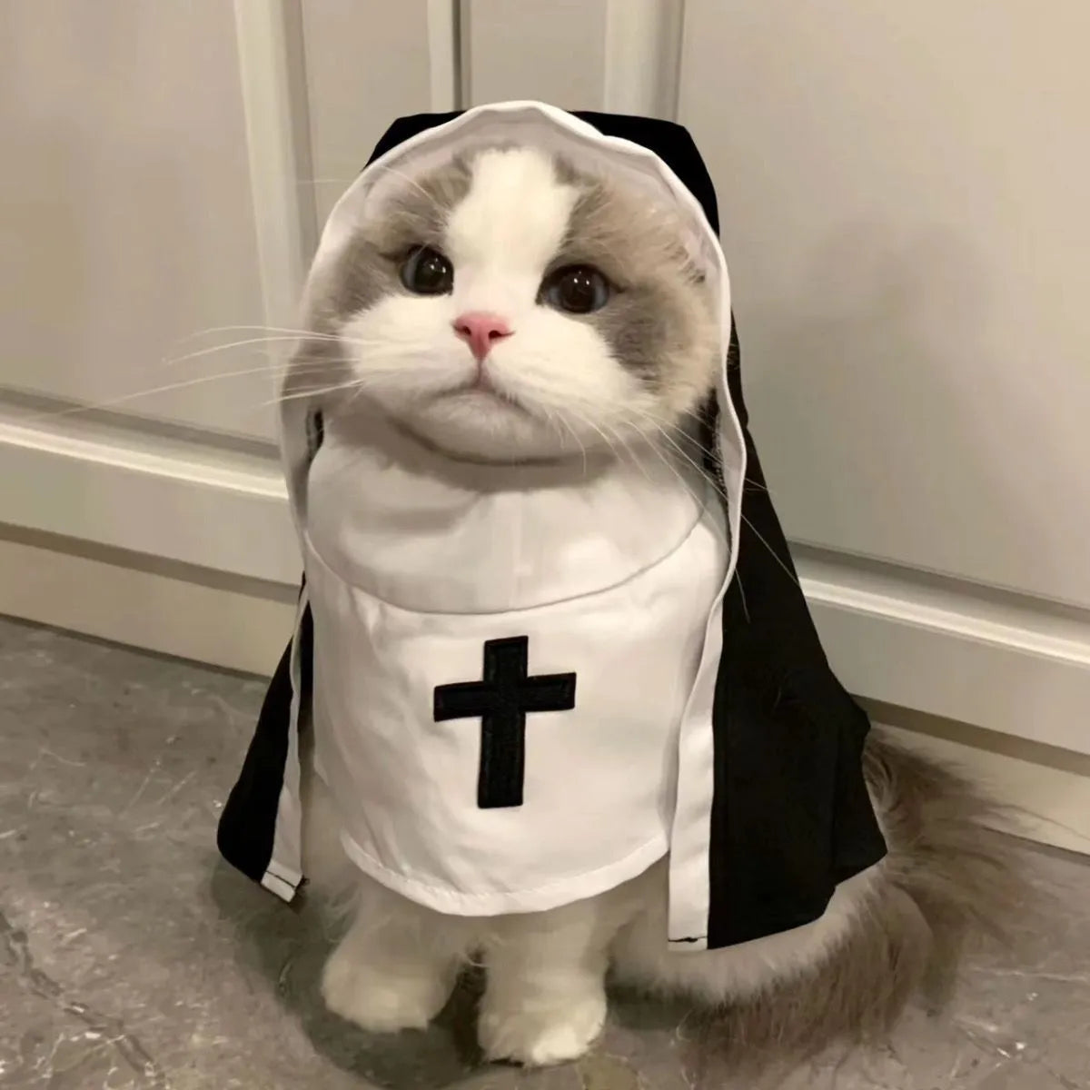 Black and white dog nun costume with cloak for Halloween pet parties