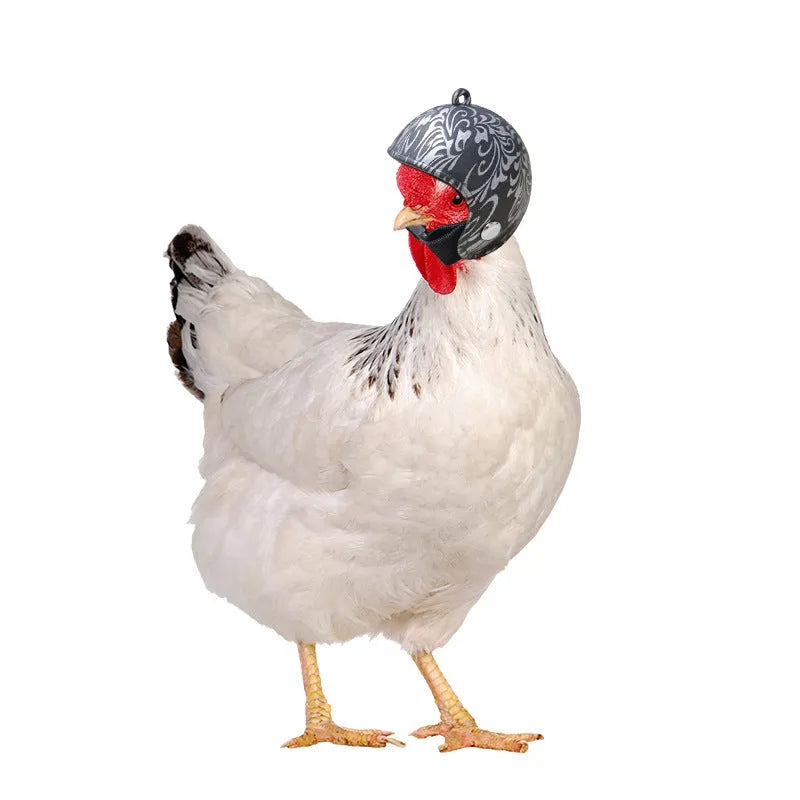 Plastic chicken helmet pet accessory in various colours and designs for poultry headgear.