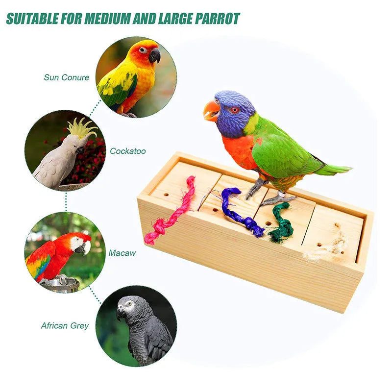 Wooden parrot foraging puzzle toy set for pet bird enrichment and beak exercise.